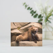 ウルベリン ポストカード (スタンド正面)