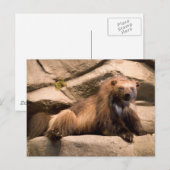 ウルベリン ポストカード (正面/裏面)