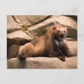 ウルベリン ポストカード (正面)