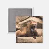 ウルベリン マグネット (正面/裏面)