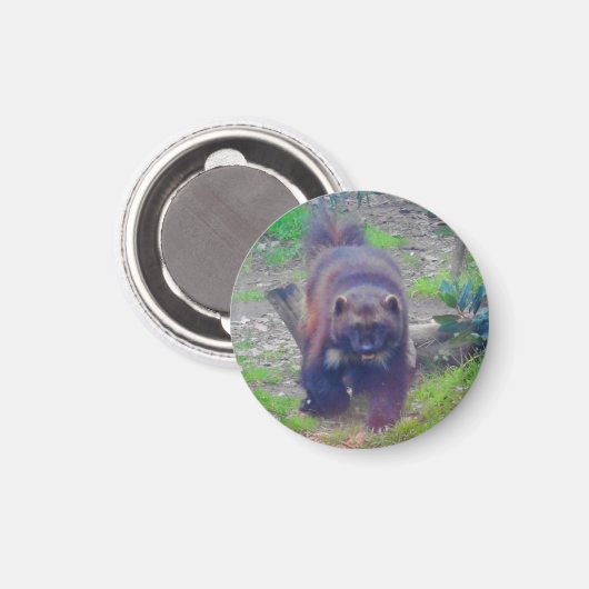 ウルベリン#1磁石 マグネット (正面/裏面)