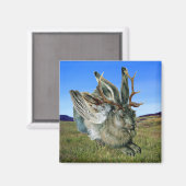 ウルペリンガー マグネット (正面/裏面)