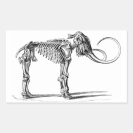 ウルマンモススケルトンシール 長方形シール