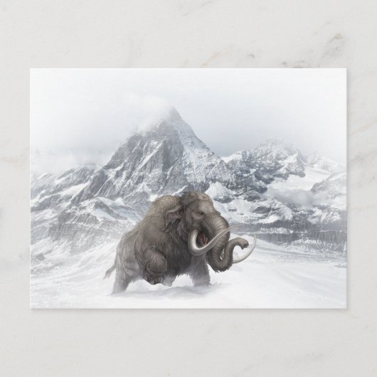 ウルマンモス先史時代の動物の氷河期 ポストカード (正面)