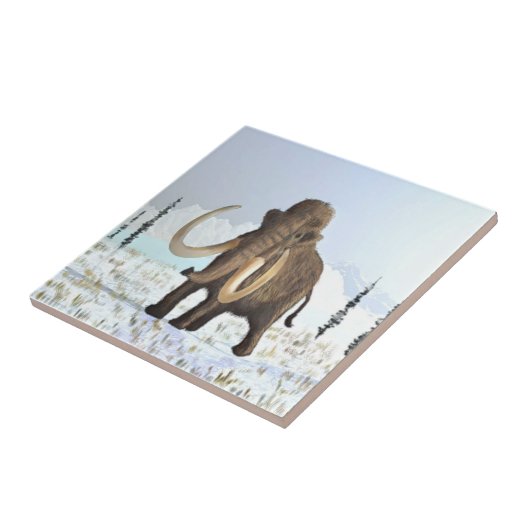 ウルマンモス タイル (側面)