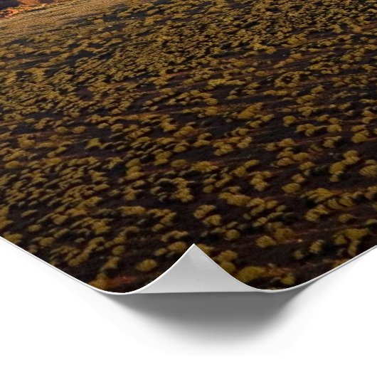 ウルルの午後の遅い光/エアーズロック、 ポスター (角)