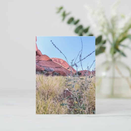 ウルル北部地域 ポストカード (スタンド正面)