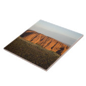 ウルル/エアーズ·ロックの午後遅くの光 タイル (側面)