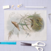 ウレンバードネストドラゴンフライフランスのポストマークのデコパージュ 薄葉紙 (クラフト)