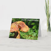 ウロディニーおもしろい – ポーランドの誕生日カード カード (正面)