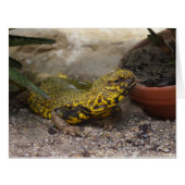 ウロマスチックス (正面横)