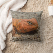 ウロマスチックス クッション (ブランケット)