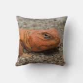 ウロマスチックス クッション (裏面)