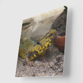 ウロマスチックス スクエア壁時計 (傾斜)