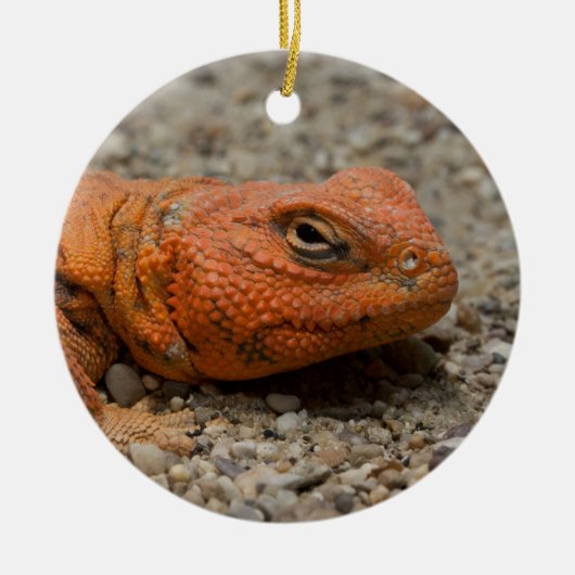 ウロマスチックス セラミックオーナメント (正面)