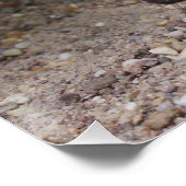 ウロマスチックス ポスター (コーナー)