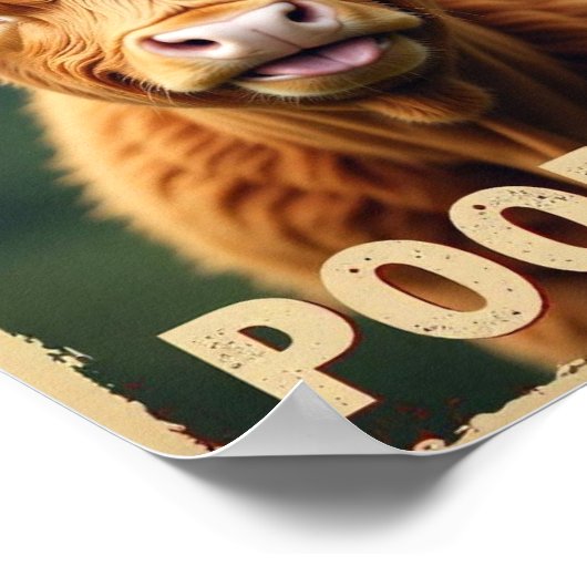 ウンコしてるのか？牛おもしろい術ハイランド牛 ポスター (角)