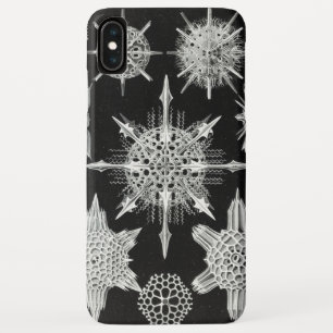 ウンダーストラリンジ水中競技動物 iPhone XS MAXケース