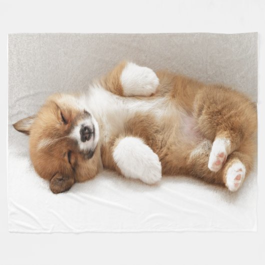 ウンチが付いている フリースブランケット (正面(横))