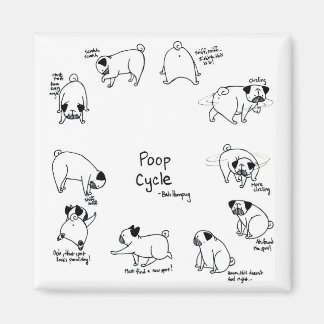 ウンチ周期 マグネット