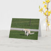 ウンチ発生 カード (黄色い花)