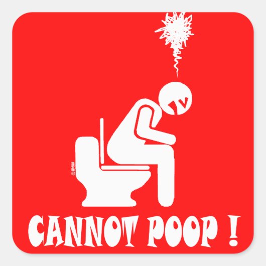 ウンチ! スクエアシール (正面)