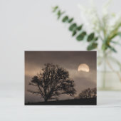 ウンパバレーサンライズ ポストカード (スタンド正面)