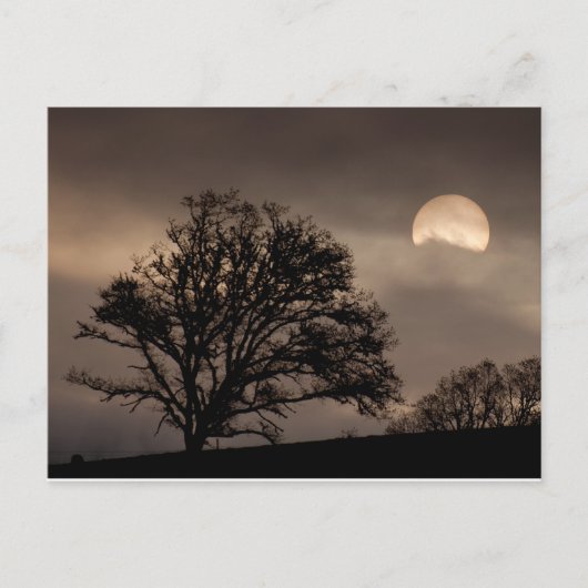 ウンパバレーサンライズ ポストカード (正面)