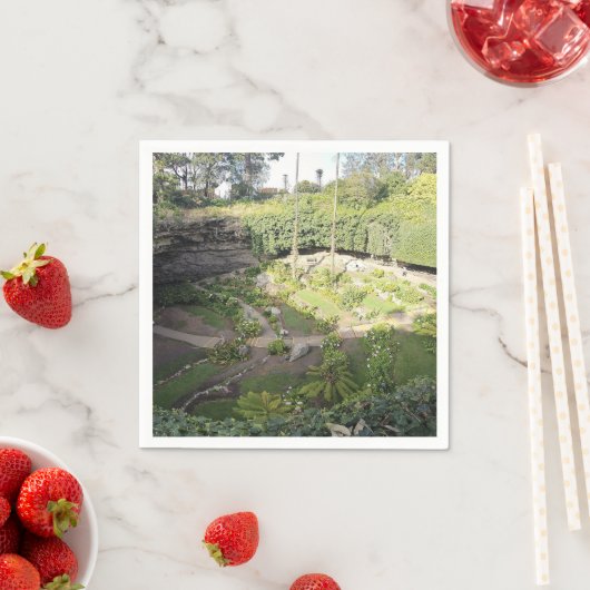 ウンファーストンシンホールヒドゥンサンクチュアリ スタンダードカクテルナプキン (インサイチュ)