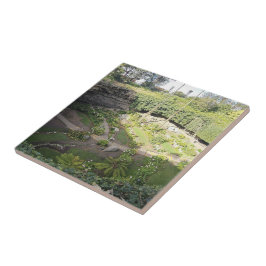 ウンファーストンシンホールヒドゥンサンクチュアリ タイル