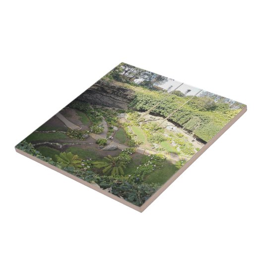 ウンファーストンシンホールヒドゥンサンクチュアリ タイル (側面)