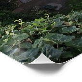 ウンファーストンシンホールヒドゥンサンクチュアリ ポスター (コーナー)