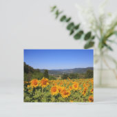 ウンブリア州側はがき ポストカード (スタンド正面)