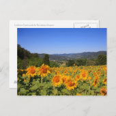 ウンブリア州側はがき ポストカード (正面/裏面)