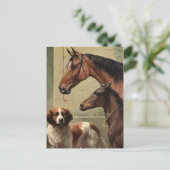 ウーズアンドセントバーナードヴィンテージアート ポストカード (スタンド正面)