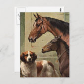 ウーズアンドセントバーナードヴィンテージアート ポストカード (正面/裏面)