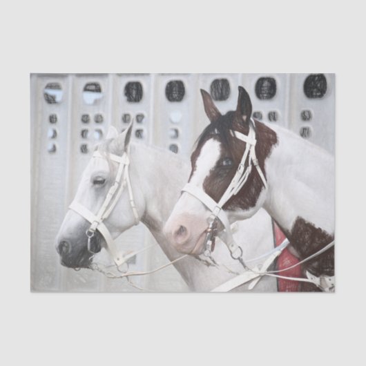 ウーズカントリーホワ素朴イトブラウンウエスタン 薄葉紙 (正面)