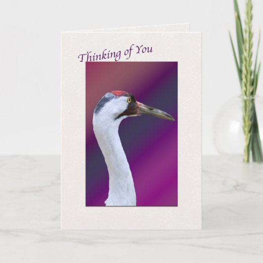 『ウーピン考えるグ・クレーンズ・オブ・ユー・グリーティング・カード』 カード (正面)