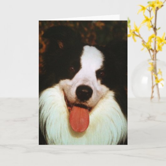 ウーフウーフハッピーバースデー蜂蜜 カード (黄色い花)