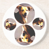 ウーフスN'ワグス コースター (正面)