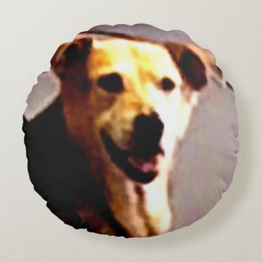 ウーフスN'ワグス ラウンドクッション (正面)