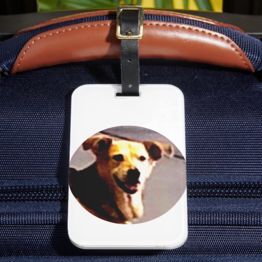 ウーフスN'ワグス ラゲッジタグ (正面インサイチュ2)