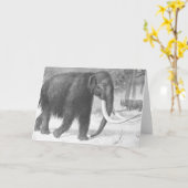 ウーリーマンモスアンティークプリント カード (黄色い花)