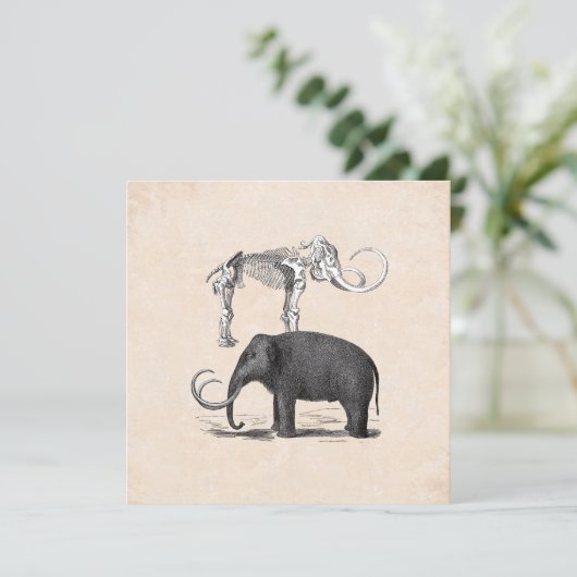 ウーリーマンモスグッドタイムズボーイズバースデーパーティー 招待状 (スタンド正面)