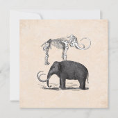 ウーリーマンモスグッドタイムズボーイズバースデーパーティー 招待状 (正面)