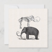 ウーリーマンモスグッドタイムズボーイズバースデーパーティー 招待状 (正面)