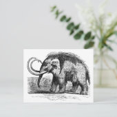 ウーリーマンモス2 ポストカード (スタンド正面)