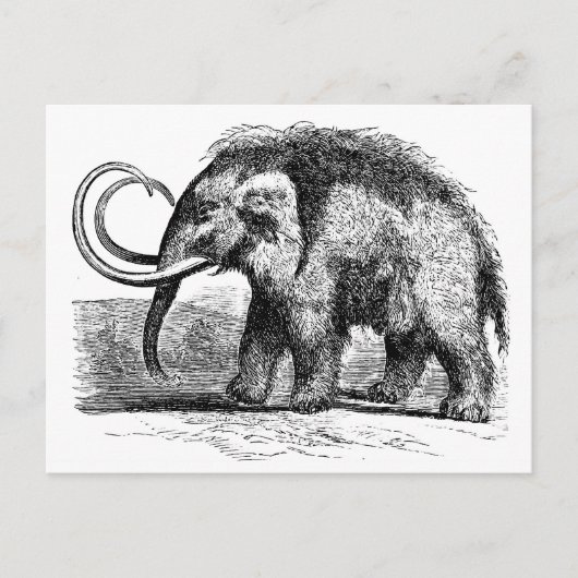 ウーリーマンモス2 ポストカード (正面)