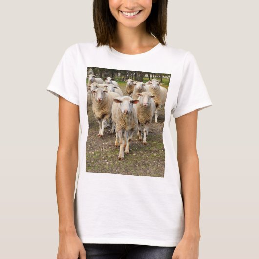 ウールの羊が来フラーを行進していた。 Tシャツ (正面)