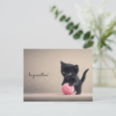 ウールの遊ピンクボールとブラックキッテン ポストカード (スタンド正面)